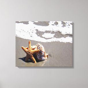 Impressão Em Tela Starfish E Shell