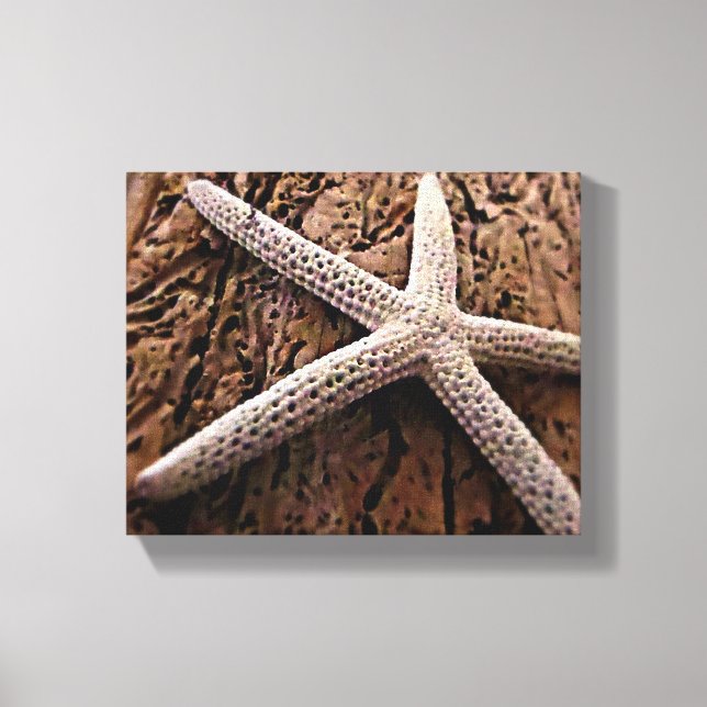 Impressão Em Tela Starfish em Driftwood (Frente)