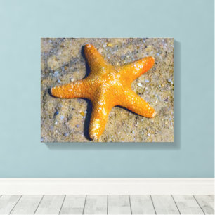Impressão Em Tela Starfish na Areia