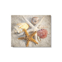 Starfish/Shell/Sand Beach