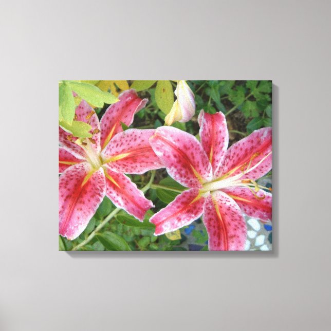 Impressão Em Tela Stargazer Lily Garden Floral (Frente)
