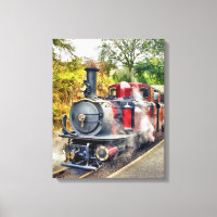 STEAM TRAIN