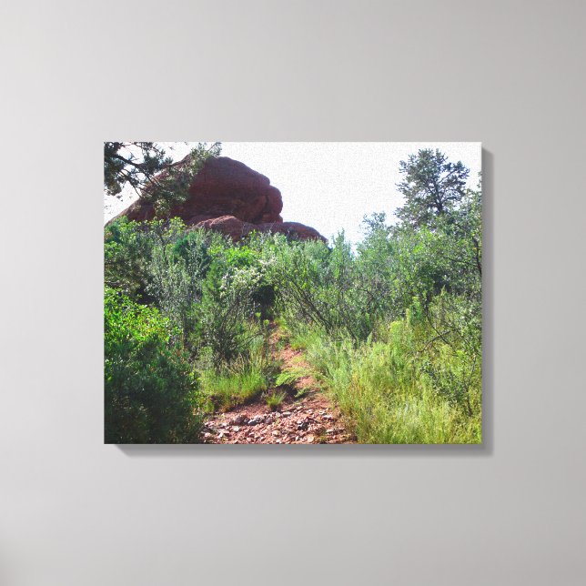 Impressão Em Tela Straussen Back Trail (Frente)