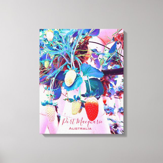 Impressão Em Tela Strawberry fazenda Port Macquarie Austrália (Frente)