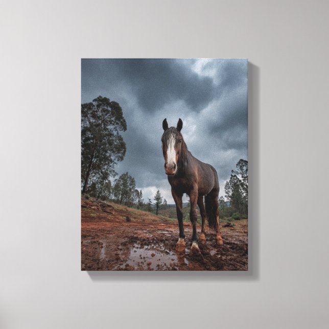 Impressão Em Tela Strong Horse Under Stormy Sky Art (Frente)