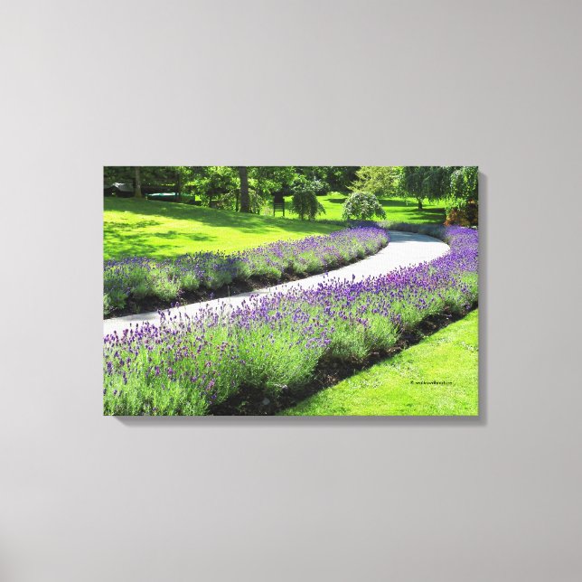 Impressão Em Tela Stunning Lavender-Lined Garden Walk (Frente)