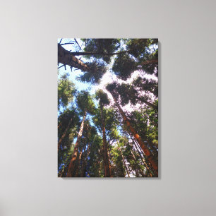 Impressão Em Tela Subindo