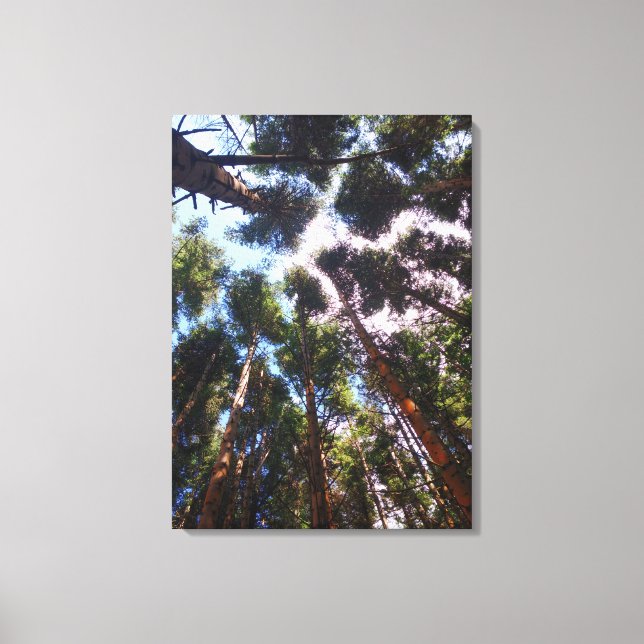 Impressão Em Tela Subindo (Frente)