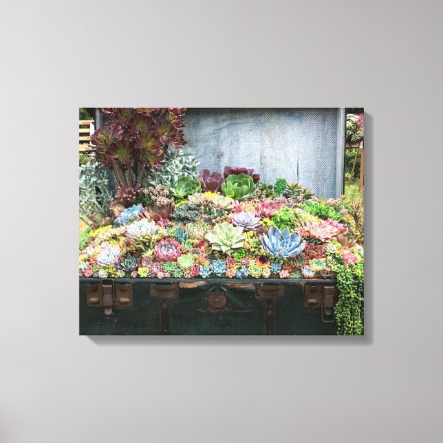 Impressão Em Tela Sucultivos no tesouro (Frente)