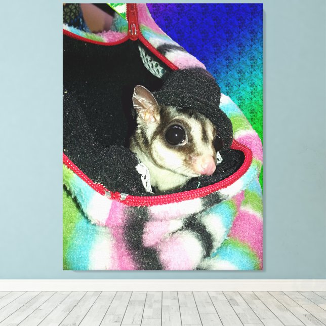 Impressão Em Tela Sugar Glider Usando um Chapéu (Insitu(piso de madeira))