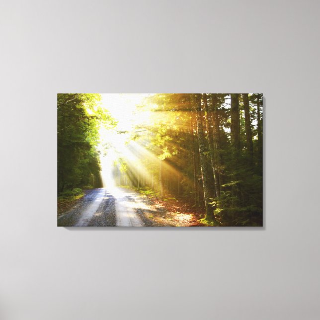 Impressão Em Tela Sun Boca Floresta no Parque Nacional de Acadia (Frente)