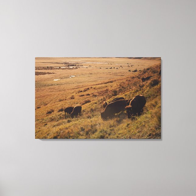 Impressão Em Tela Sunrise em Bison (Frente)