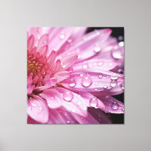 Super Macro Flor Rosa com Gotas de Rainha