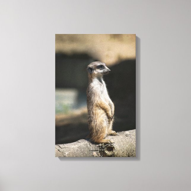 Impressão Em Tela Suricata (Frente)