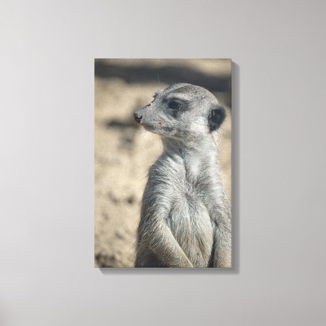 Impressão Em Tela Suricata engraçada (Frente)