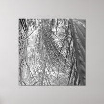 Sussurros Dos Trópicos