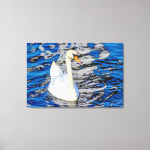 Impressão Em Tela Swan com Reflexões