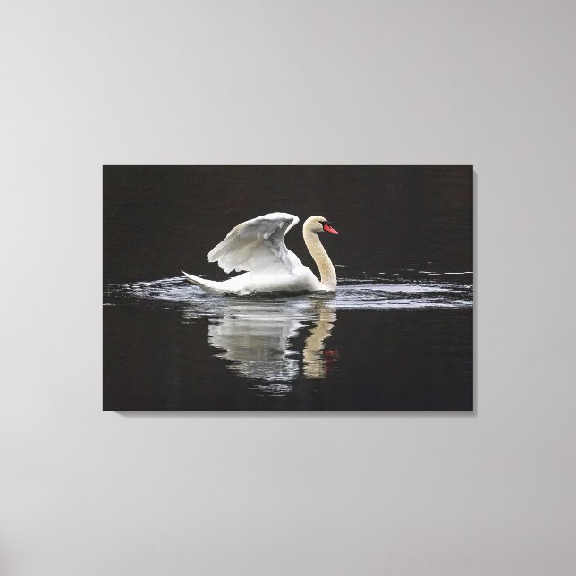 Impressão Em Tela Swan e Reflexões (Frente)