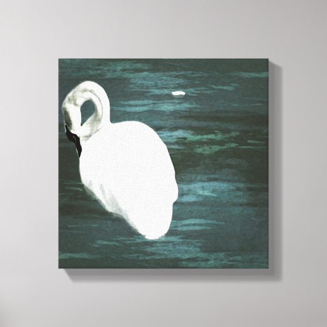 Impressão Em Tela Swan no Pond (Frente)