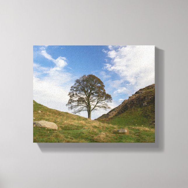 Impressão Em Tela Sycamore Gap no outono (Frente)