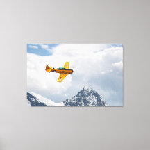 T-6 Texan Majestic Flight