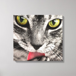 Impressão Em Tela Tabby Cat Licing Paw