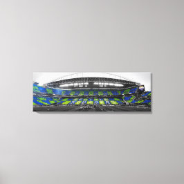 Impressão Em Tela Taça EBFG Final Tifo