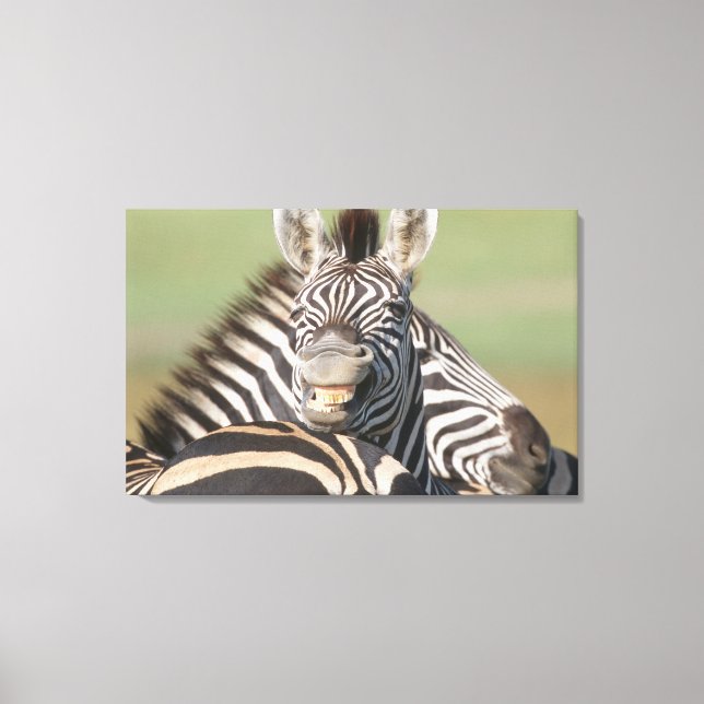 Impressão Em Tela Tala Private Reserve, Kwazulu Natal, Sul (Frente)