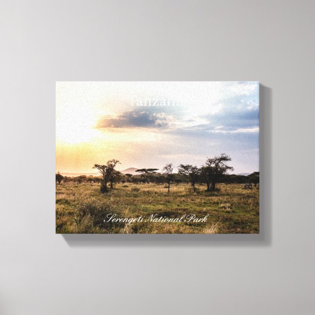 Impressão Em Tela Tanzania (Frente)