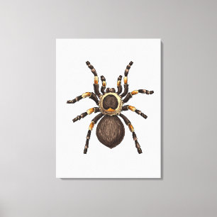 Impressão Em Tela Tarantula