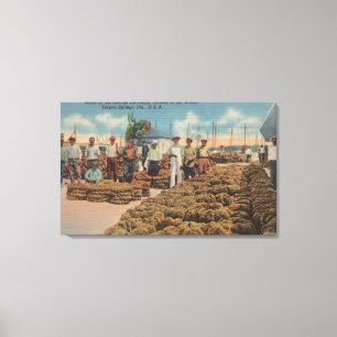 Impressão Em Tela Tarpon Springs, FL - cena da troca da esponja