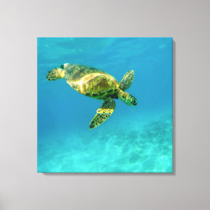 Impressão Em Tela Tartaruga marinha nadando em água oceânica turqu