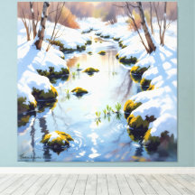 Tauwetter am Meadow Brook 