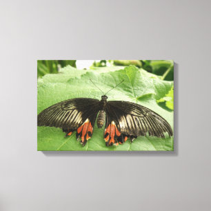 Impressão Em Tela Tela bonito de borboleta vermelha e Dourada
