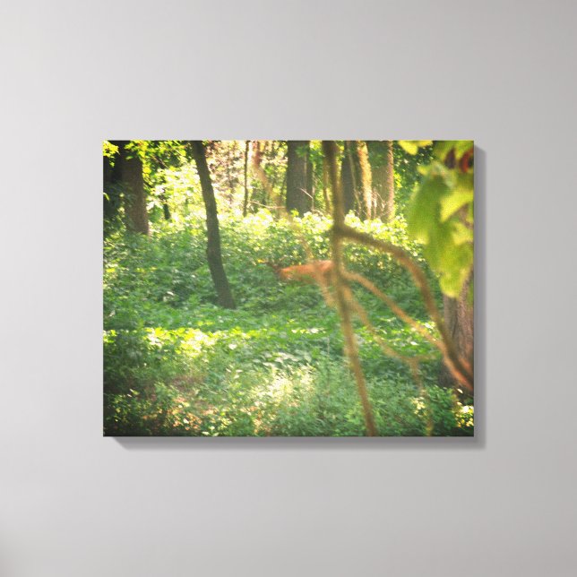 Impressão Em Tela Tela branca (Frente)