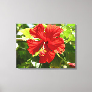 Impressão Em Tela Tela Brilhante de Flor Red Hibiscus