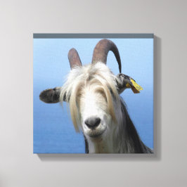 Impressão Em Tela Tela cabra