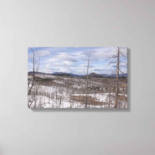 Impressão Em Tela Tela da floresta de Pike (Frente)