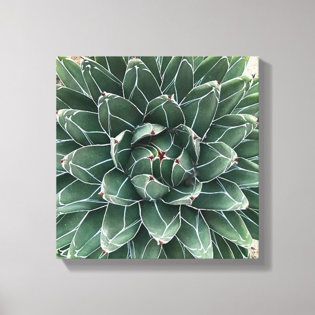 Impressão Em Tela Tela da Rainha Victoria Agave (Frente)