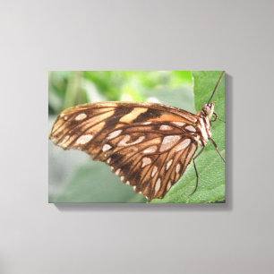 Impressão Em Tela Tela de borboleta castanha bonito