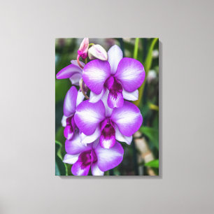 Impressão Em Tela Tela de exibição das orquídeas brancas e roxas