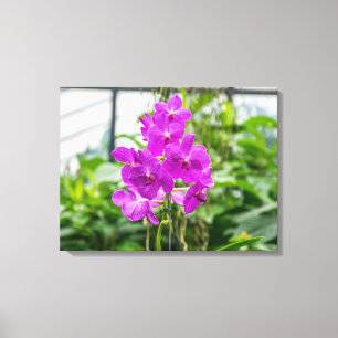 Impressão Em Tela Tela de exibição de orquídeas roxas