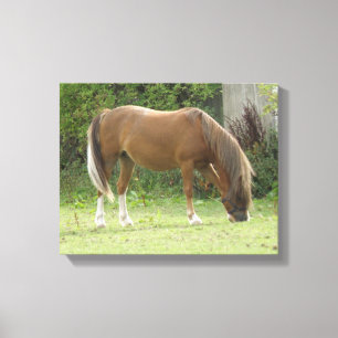 Impressão Em Tela Tela de Folha de Apanho de Cavalo Castanho