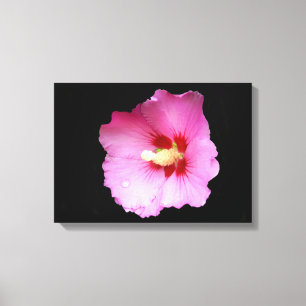 Impressão Em Tela Tela de Hibiscus Rosa