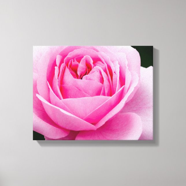 Impressão Em Tela Tela de Rosa Rosa Rosa Rosa Pastosa (Frente)