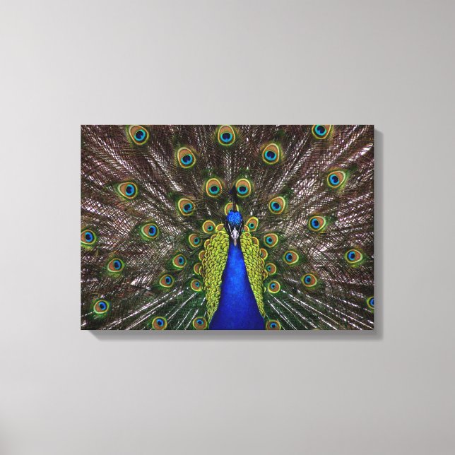 Impressão Em Tela Tela de tela plana (Frente)