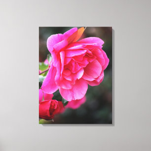 Impressão Em Tela Tela de tela rosa rosa bonito