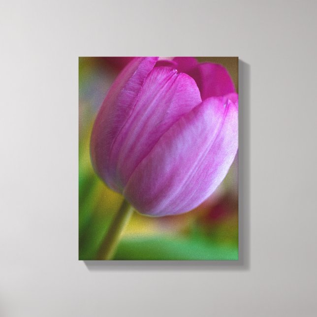 Impressão Em Tela Tela de tulipa púrpura (Frente)