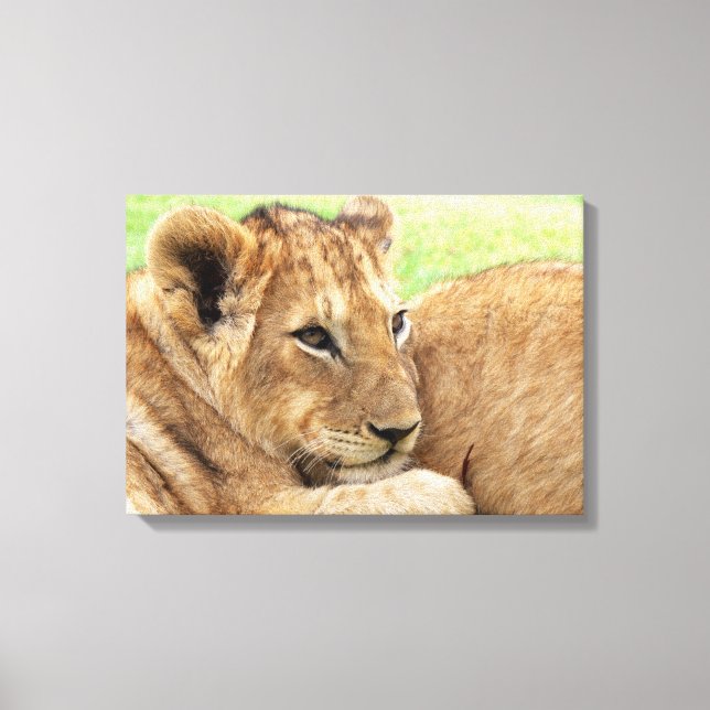 Impressão Em Tela Tela do Baby Tiger (Frente)