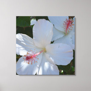 Impressão Em Tela Tela Envolta com Fragrância Floral Branca